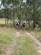 Day Camp- July Children's Camp